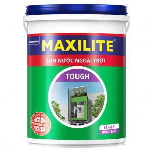 Sơn Ngoài Trời Maxilite Tough 28CB - Bóng Mờ